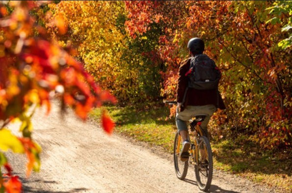 Fall biking