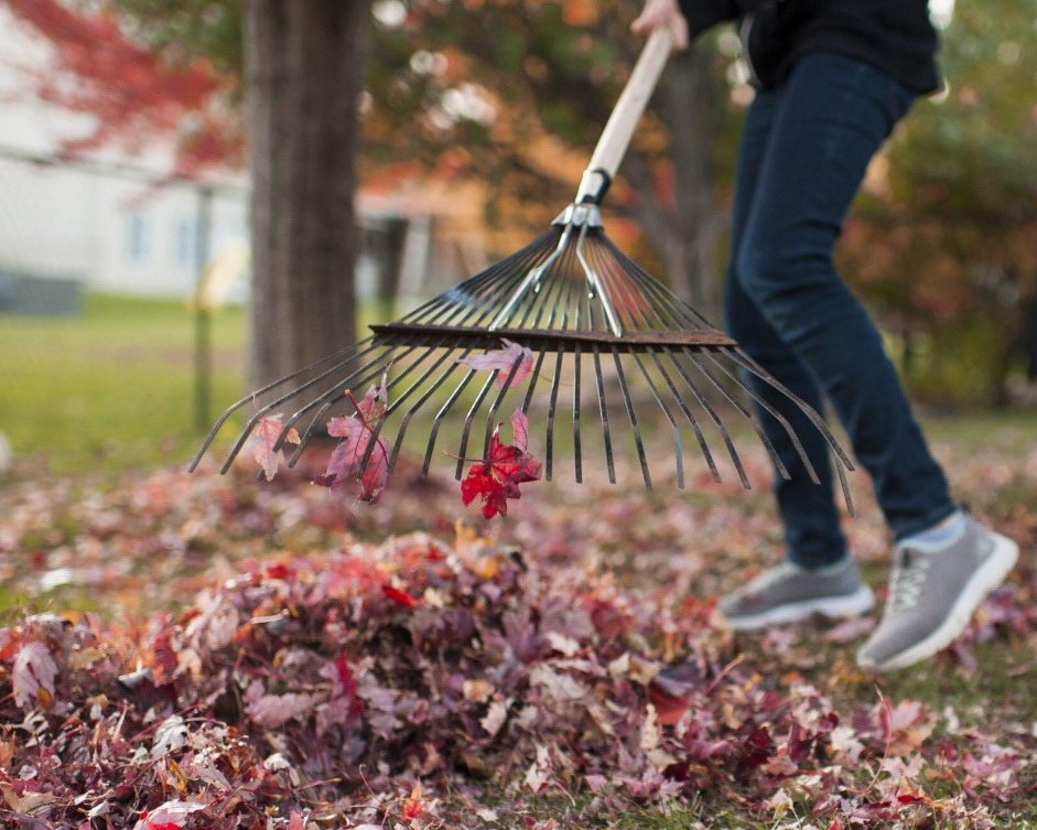 Raking 2 edited