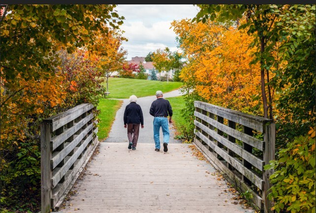 Walkin in fall